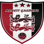 FootballPredictionX Fixture Arnett Gardens