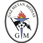 FootballPredictionX Fixture GAZ Metan Medias