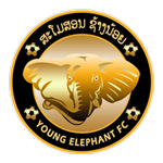 FootballPredictionX Fixture Young Elephant